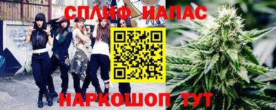 МДПВ Гатчина