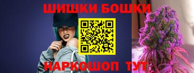 МДПВ Гатчина