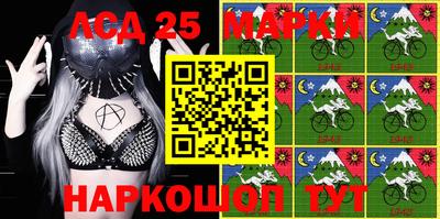 МДПВ Гатчина
