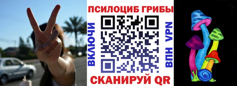 продажа наркотиков  МЕГА зеркало  Галлюциногенные грибы Psilocybe  Сердобск 