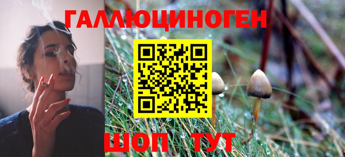 Псилоцибиновые грибы Psilocybine cubensis Сердобск